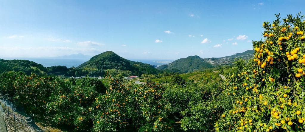 서브 이미지