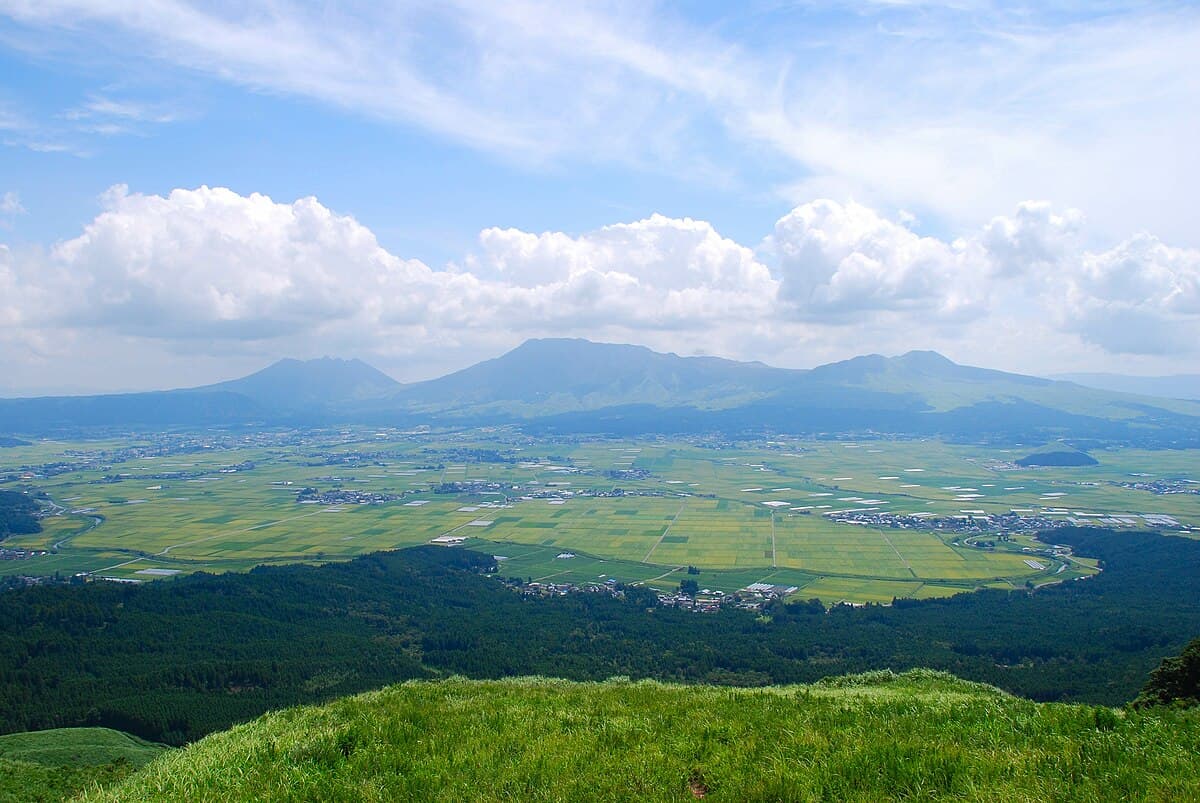 서브 이미지